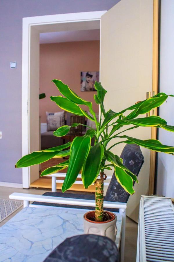 Bb Downtown Apartment บายินา บาชตา ภายนอก รูปภาพ